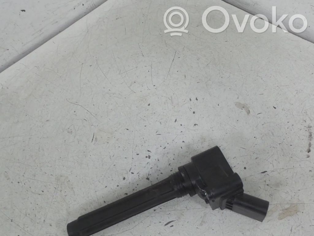 Volkswagen Golf VIII Aukštos įtampos ritė "babyna" 
