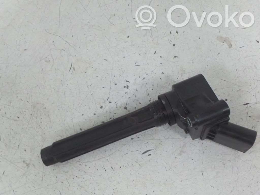 Volkswagen Golf VIII Aukštos įtampos ritė "babyna" 