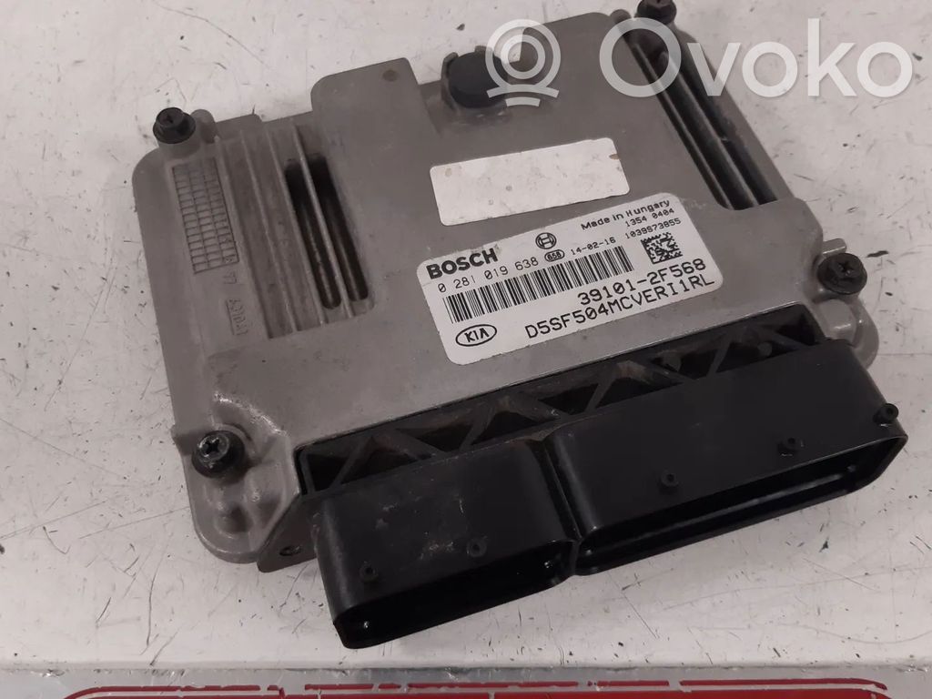 Engine control unit/module   0281019638,391012F568,D4HA