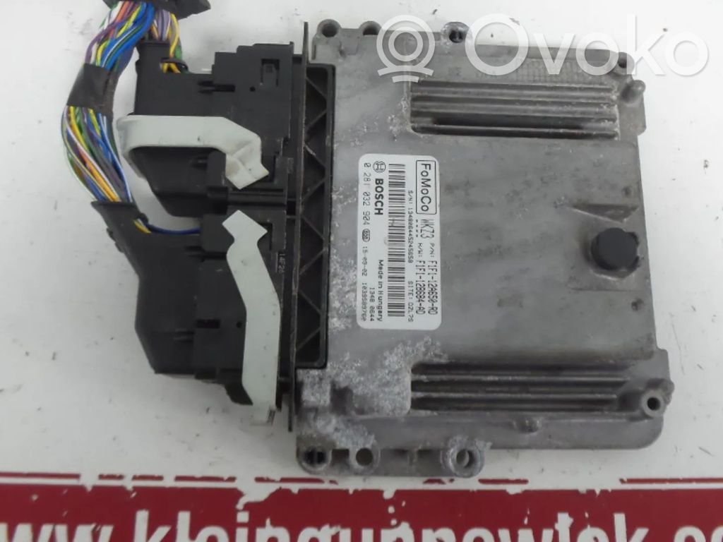 Engine control unit/module   F1F112A650RD,1873891,2059208,F1B112A650BBA,F1F112A650AD,F1F112A650RB,F1F112B684AD,F1FJ12A650AD,XWDB