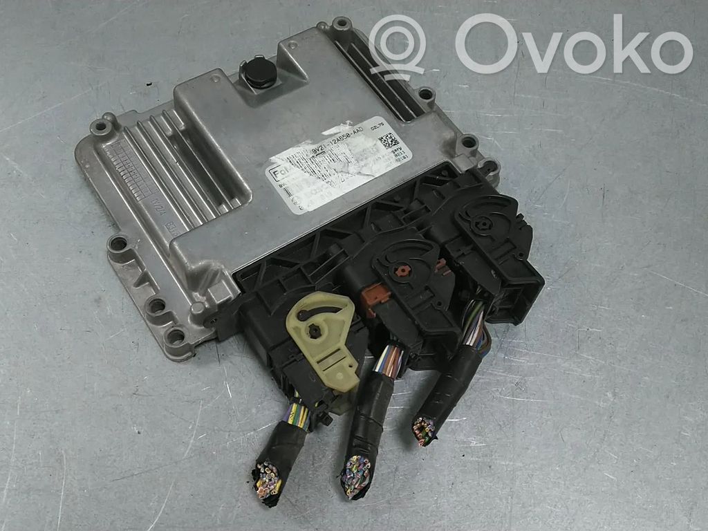 Ford Fiesta Unidad de control/módulo del motor 