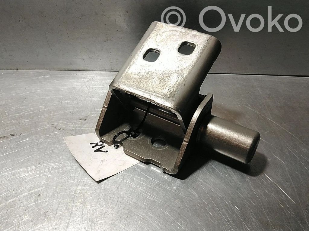 Renault Clio III Front door upper hinge 