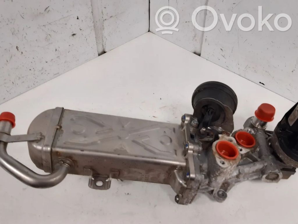 Volkswagen PASSAT B7 Valvola EGR 