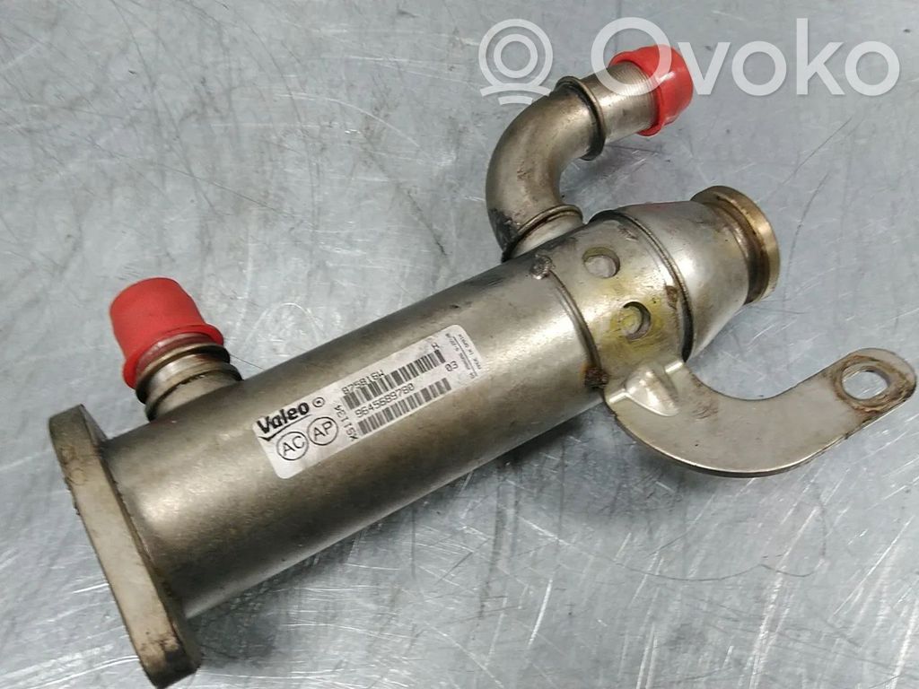 Ford Focus EGR valve cooler 