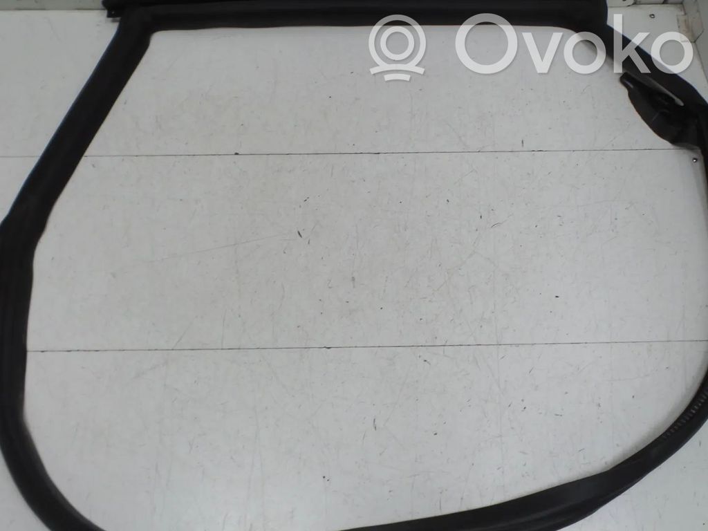 Tesla Model 3 Gumowa uszczelka drzwi tylnych 