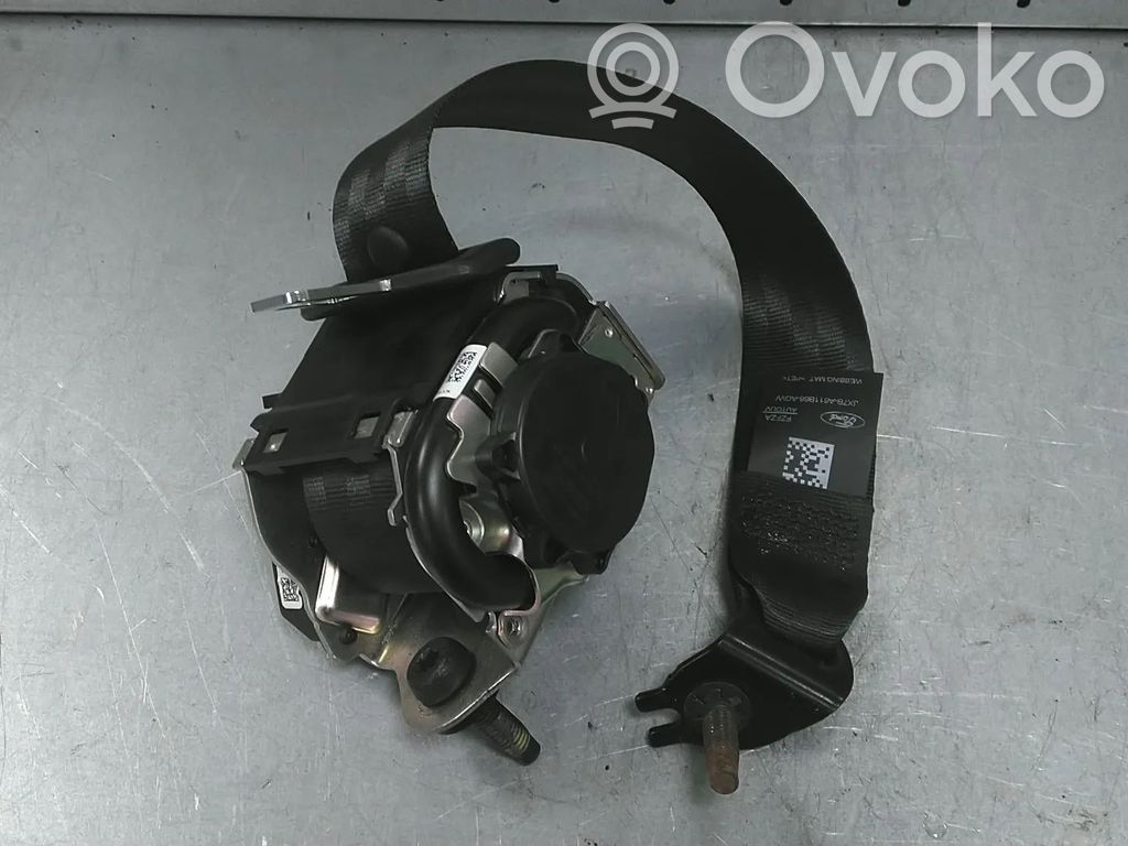 Ford Focus Saugos diržas galinis 