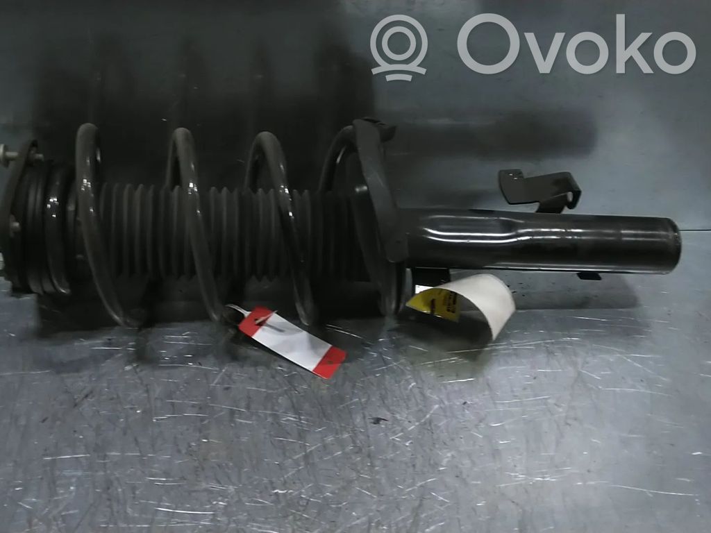 Ford Focus Priekšpusē amortizators 