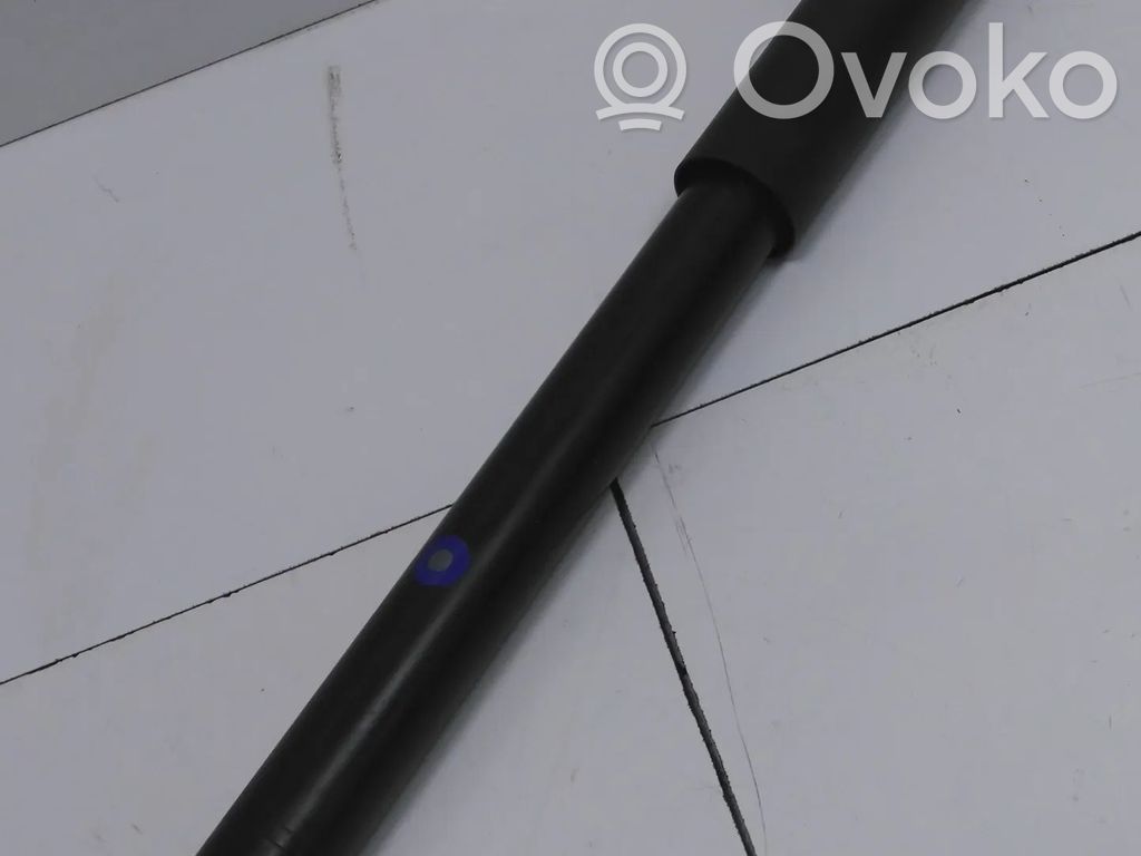 Dacia Duster II Rear shock absorber/damper 