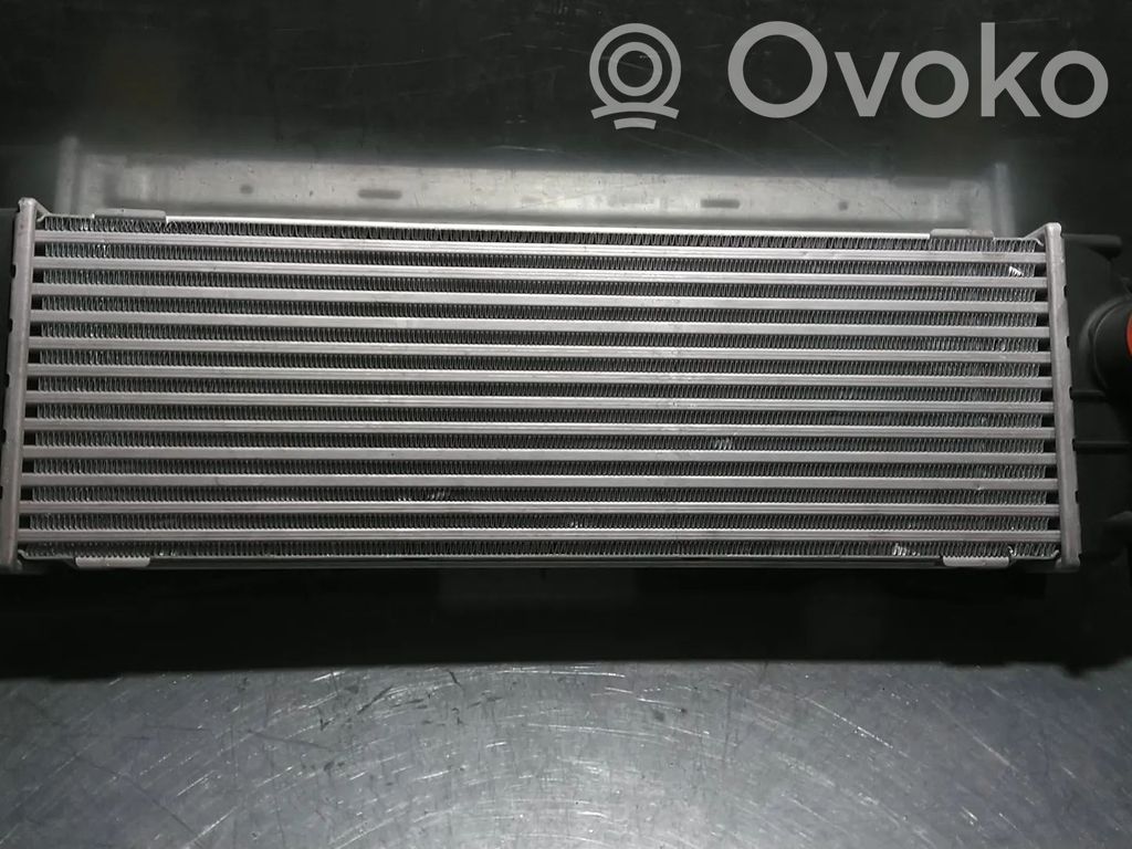 Interkūlerio radiatorius   8200411160,4416946,8200414159,93854162
