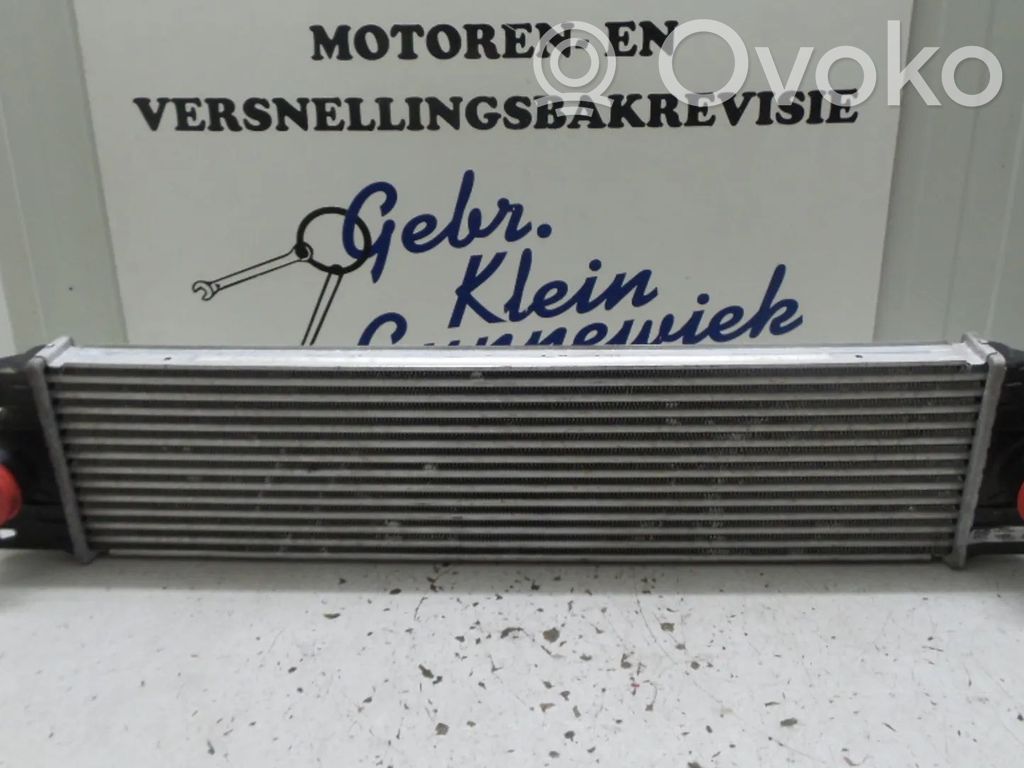 Interkūlerio radiatorius   96767,0006768,2147000QAA,4415074,7701057121,874806M,93179776
