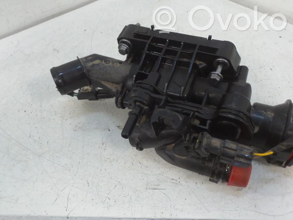 Ford Focus Termostatas/ termostato korpusas 