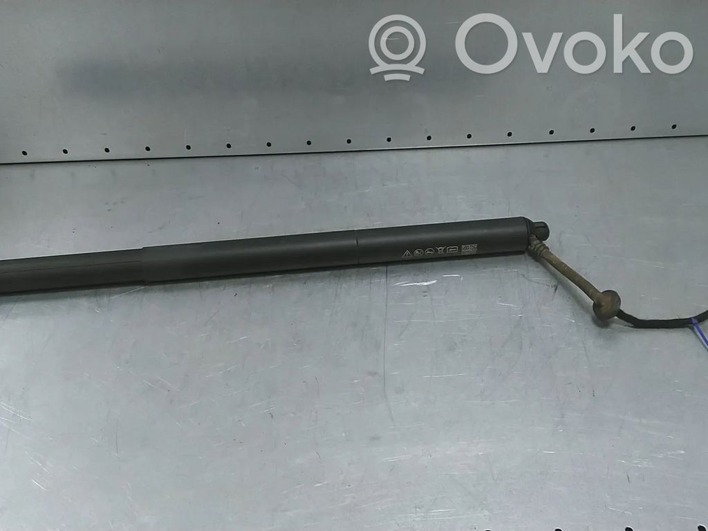 Audi Q2 - Tailgate/trunk strut/damper 