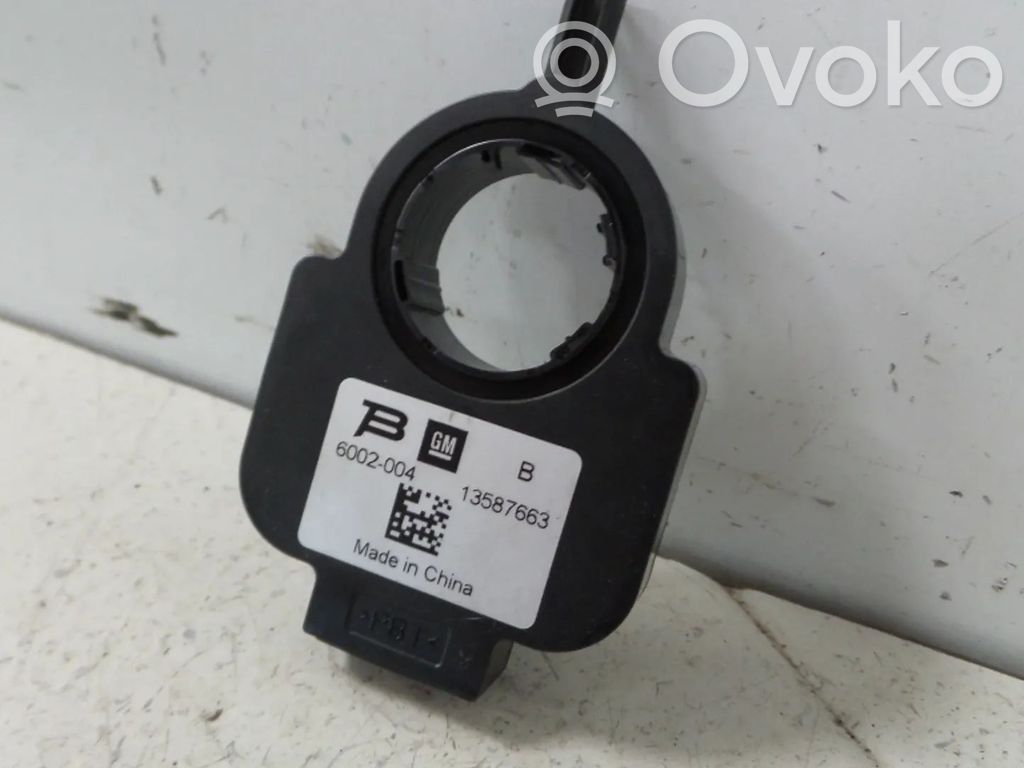 Sensor   13587663