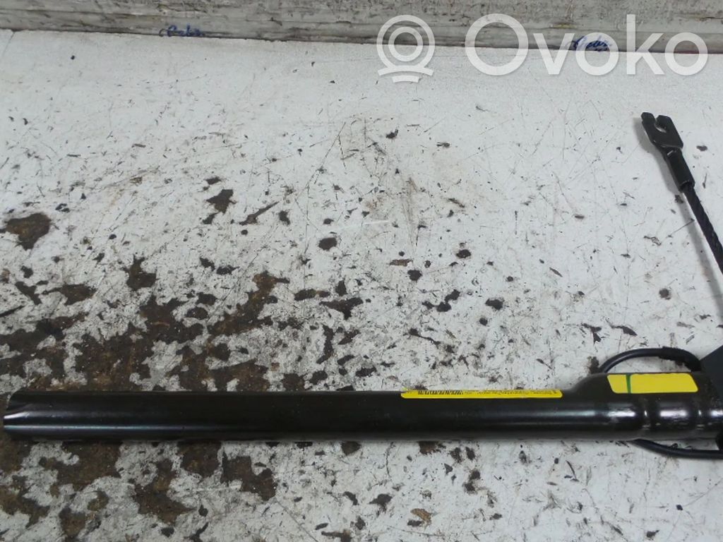 Renault Modus Sagtis diržo priekinė 