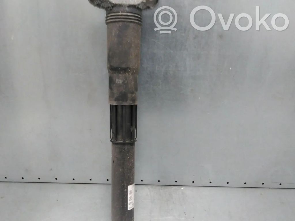 Stoßdämpfer hinten   1EA512013BC,EBJA