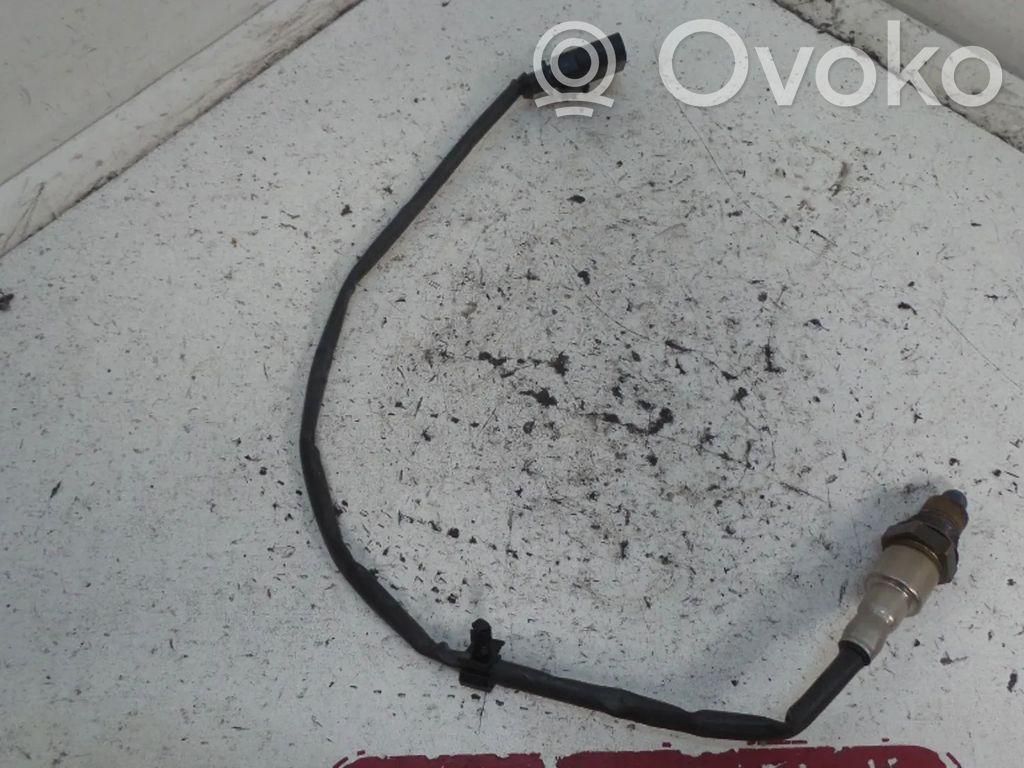 Lambda probe sensor   80A906262,0258030215,0258030253,02583050521,8K0906262F,8W0906262F,8W0906262G,DAYB,DAYBDAY