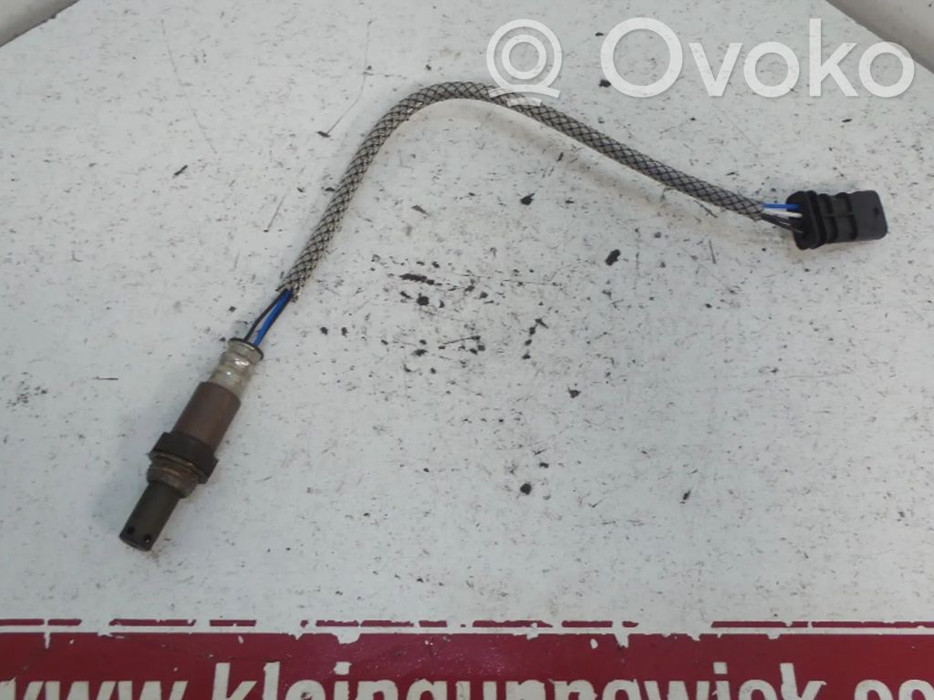 Зонд «Lambda»   31439622,B4204T23