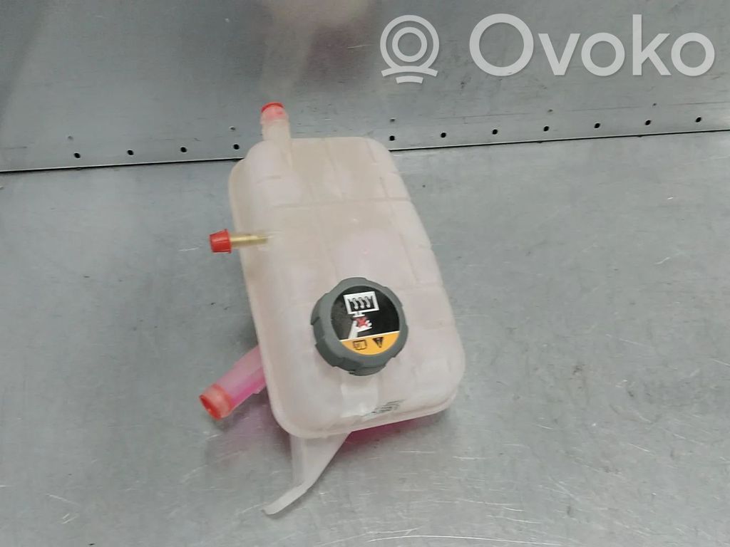 KIA Niro Serbatoio di compensazione del liquido refrigerante/vaschetta 