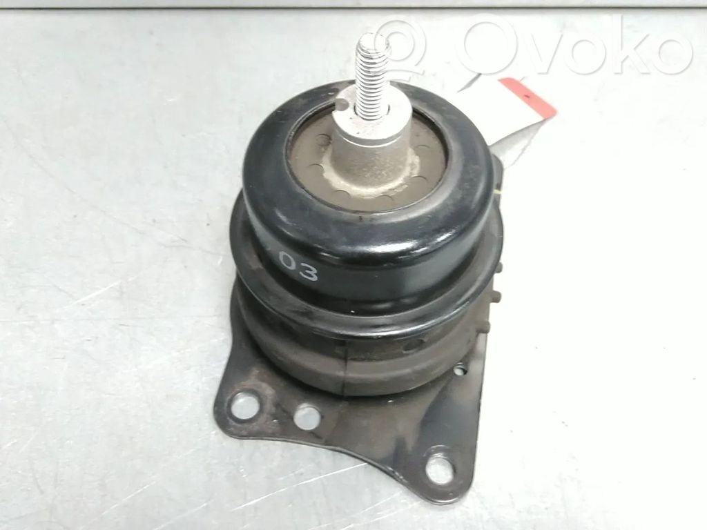 Skoda Roomster (5J) Dzinēja spilvens 