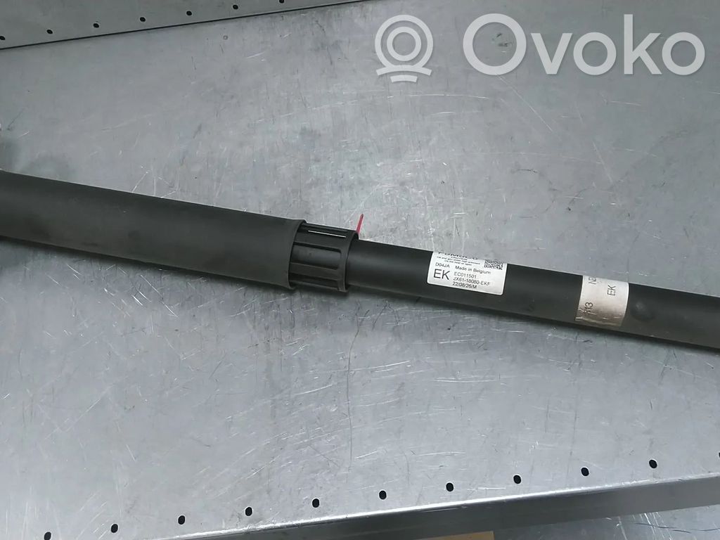 Ford Focus Rear shock absorber/damper 