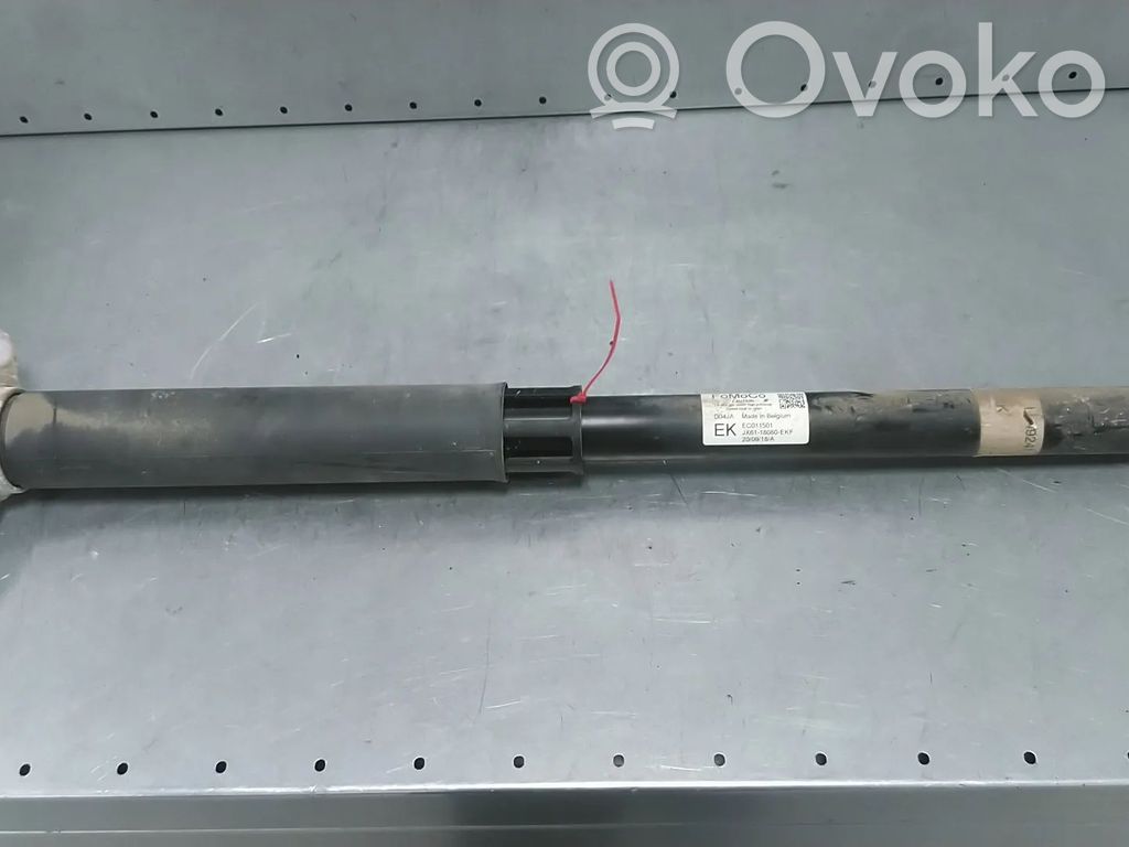 Ford Focus Rear shock absorber/damper 