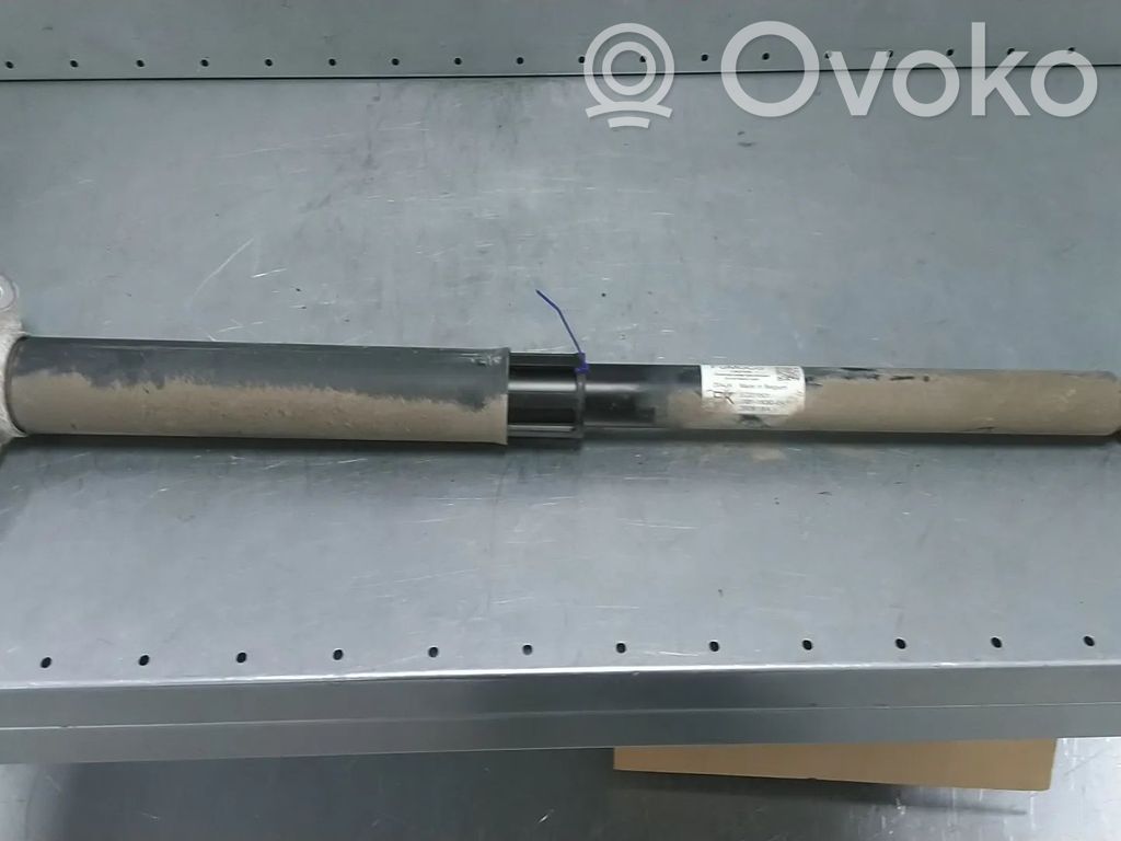 Ford Focus Rear shock absorber/damper 