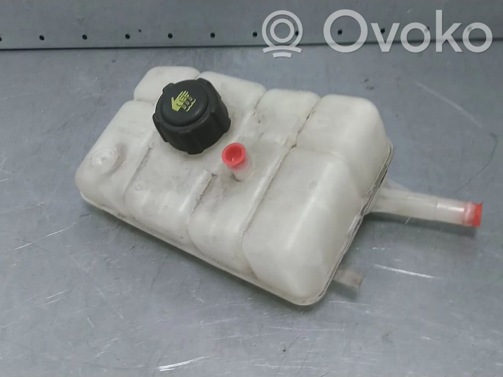 Renault Megane IV Serbatoio di compensazione del liquido refrigerante/vaschetta