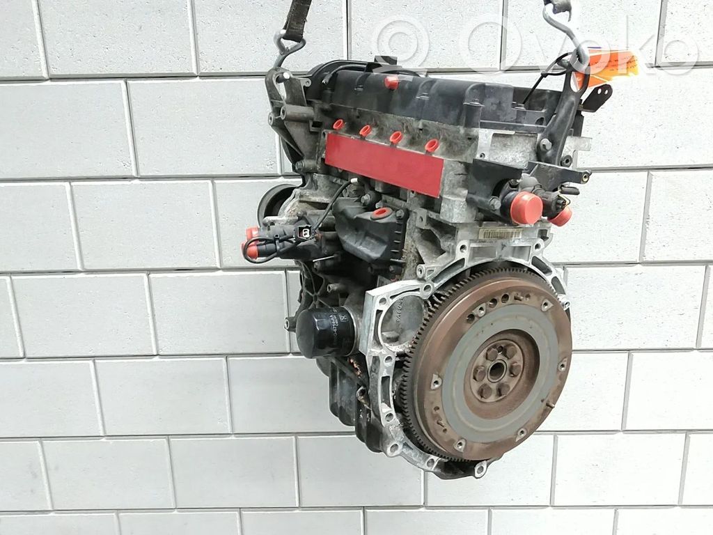 Ford Fiesta Variklis 