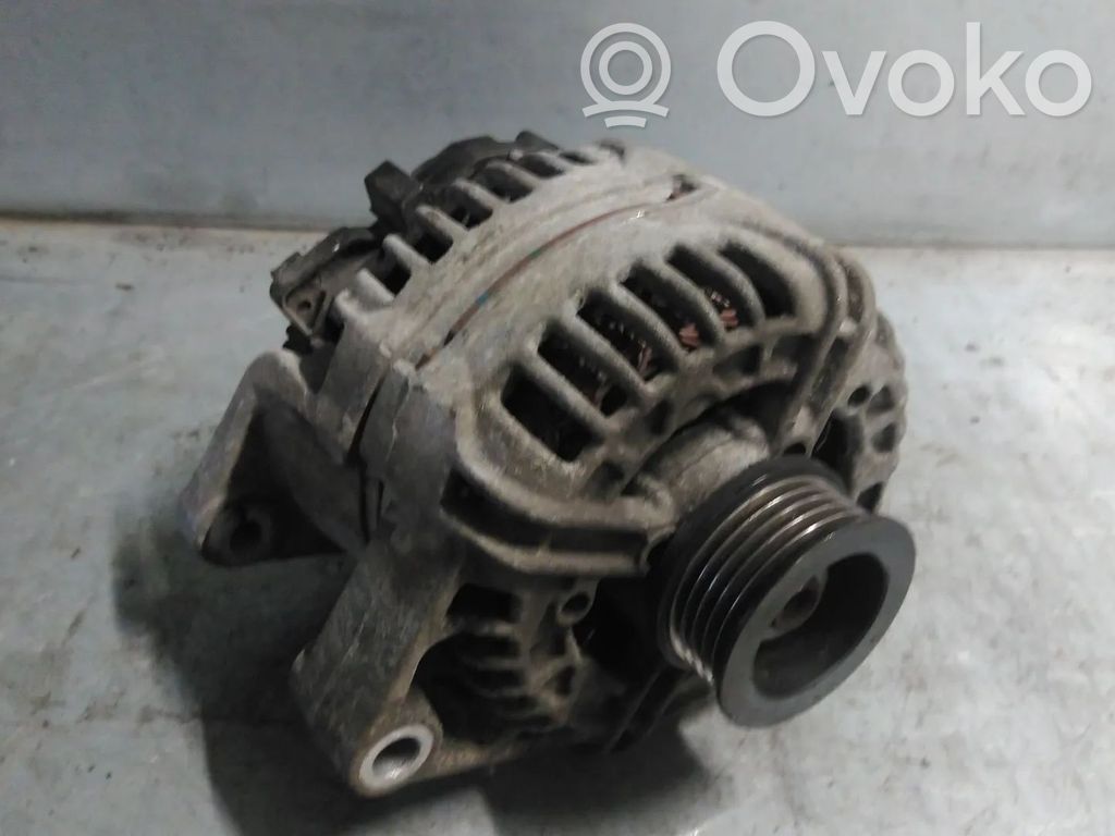Generatore/alternatore   55556069,0124425024