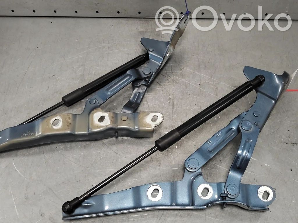Opel Cascada Tailgate/trunk/boot hinge 