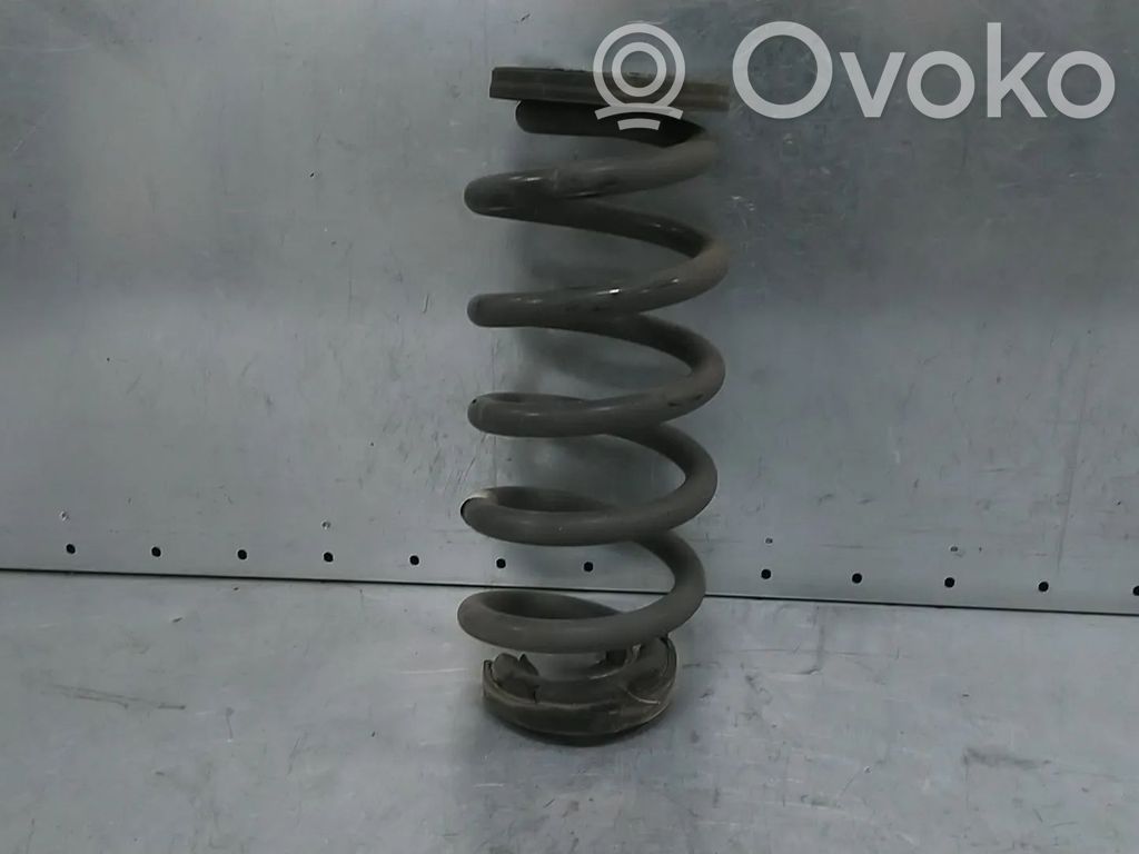 Feder hinten   1EA511103C