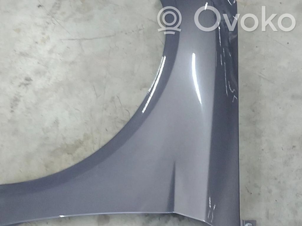Крыло   2171304,BM51A16009AG,PBM51A16009AG