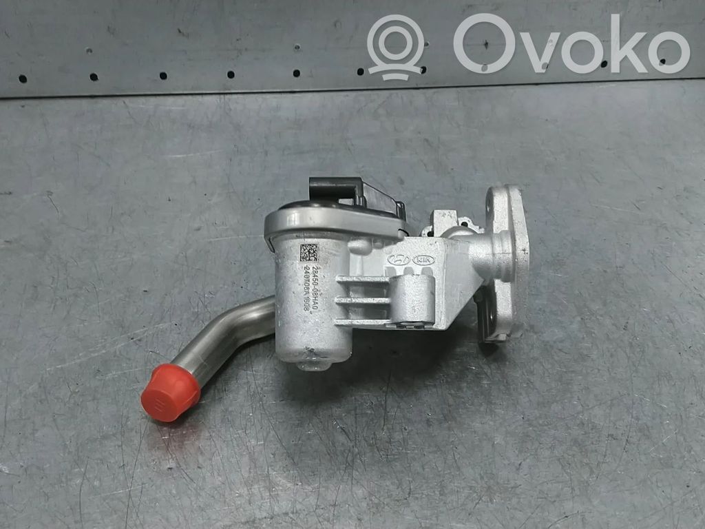KIA Niro Válvula EGR 