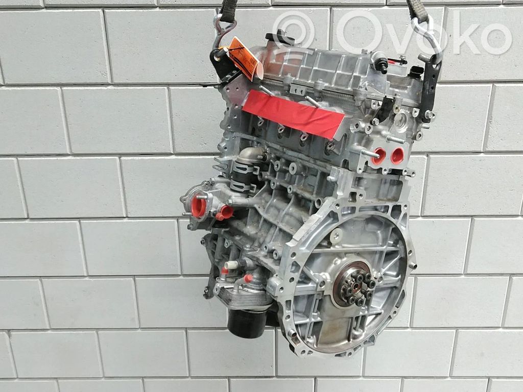 KIA Niro Variklis 