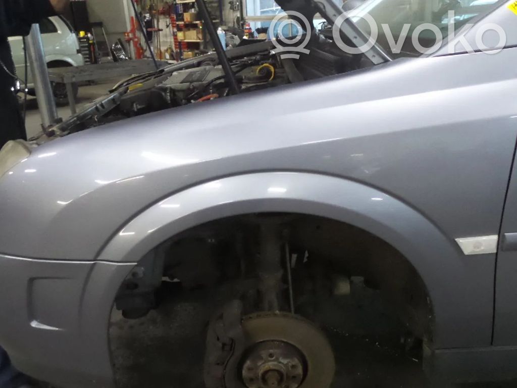 Opel Signum Spārns 
