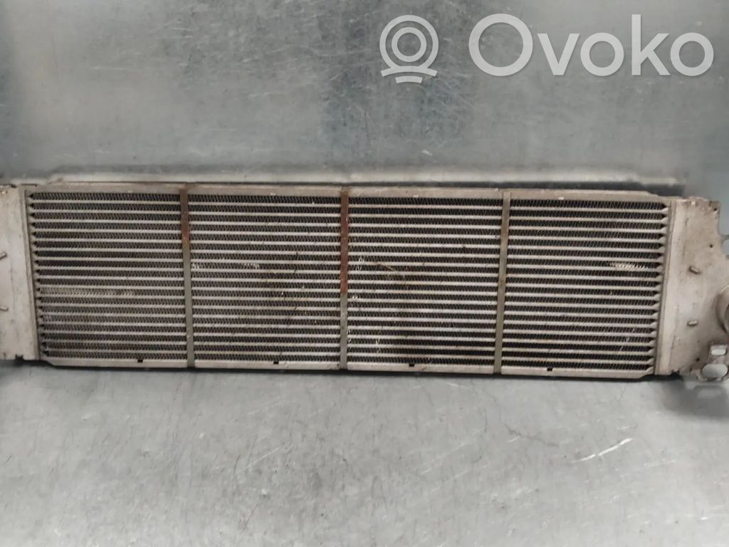 Volkswagen Transporter - Caravelle T5 Interkūlerio radiatorius 