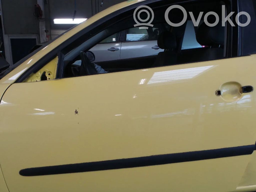 Seat Ibiza III (6L) Drzwi 