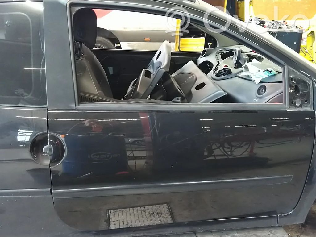 Renault Twingo II Дверь 