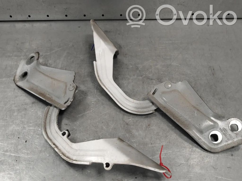 Ford Focus Cerniere del vano motore/cofano 