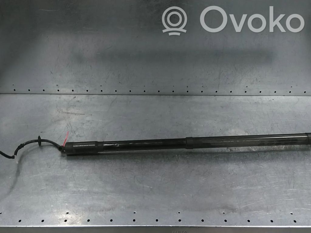Ford C-MAX II Tailgate/trunk strut/damper 