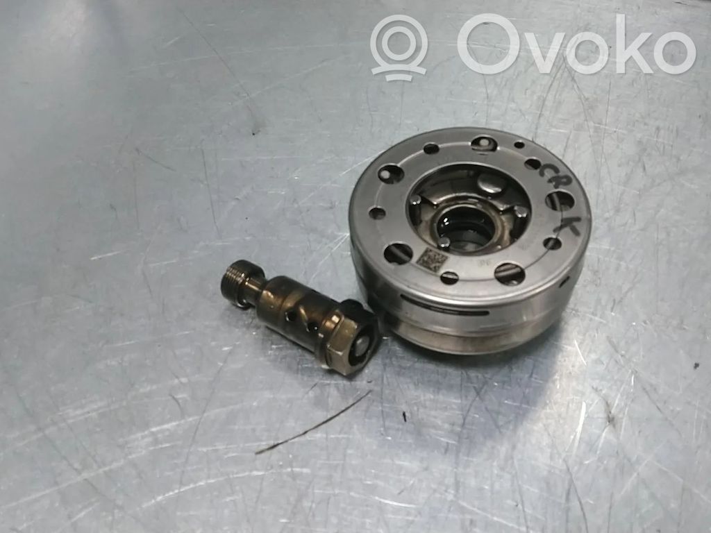 Volkswagen Golf VII Folie axă cu came/ VANOS 