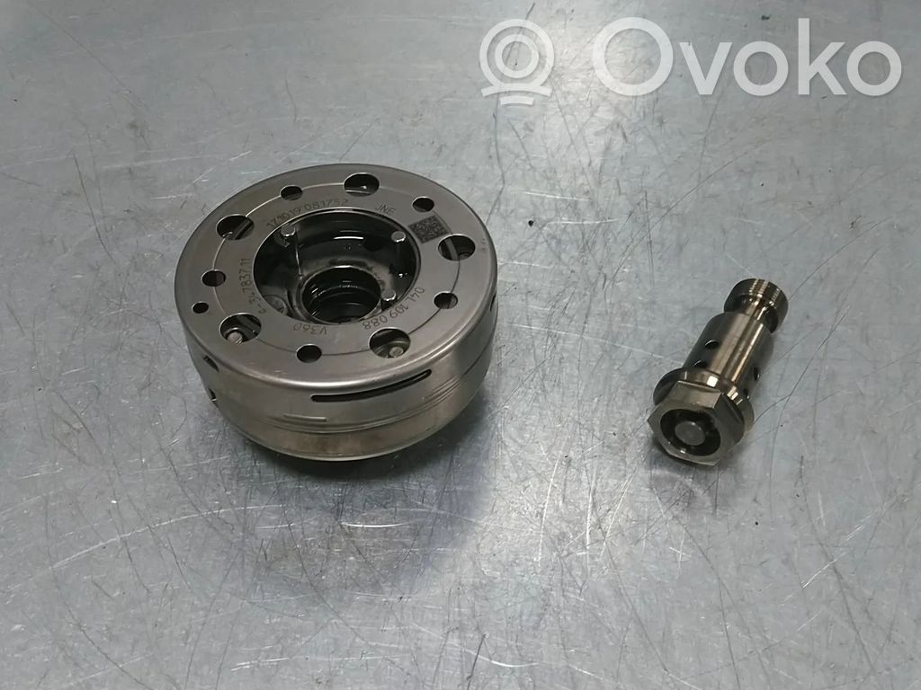 Volkswagen Golf VII Folie axă cu came/ VANOS 