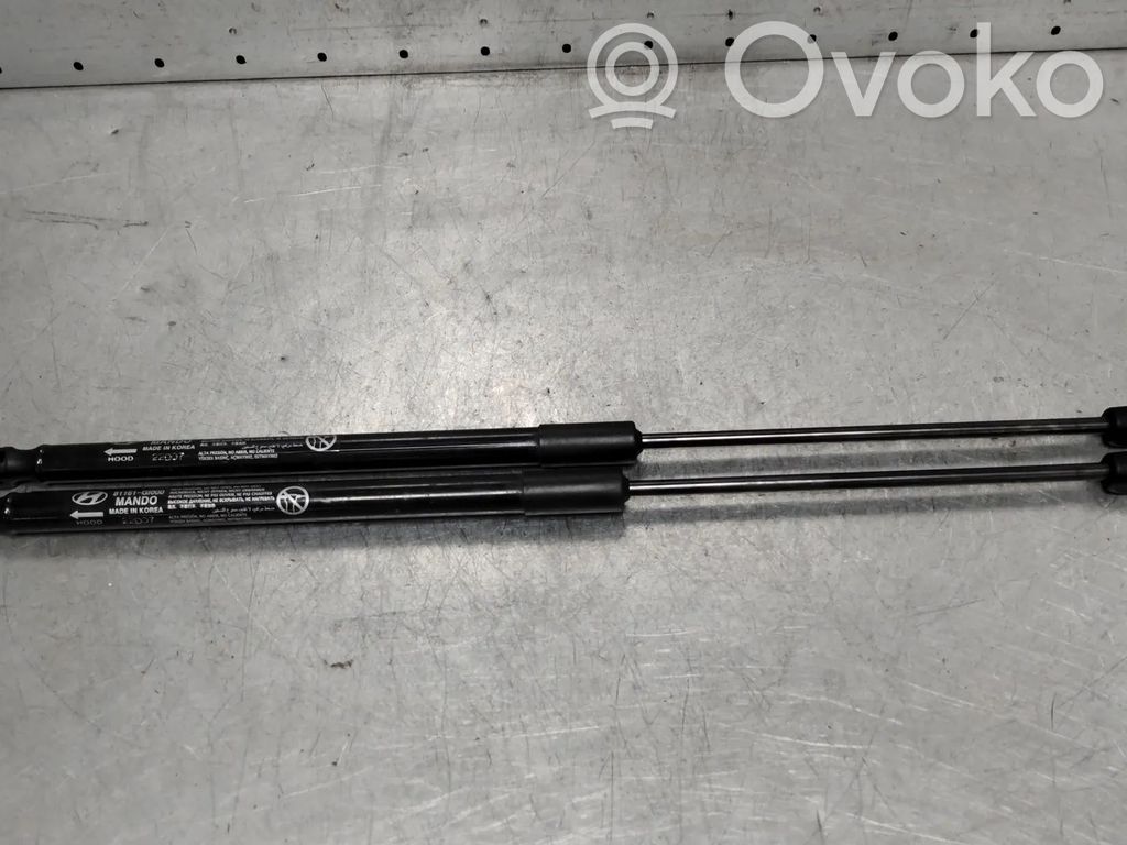 Hyundai Ioniq 5 Amortizor capotă motor