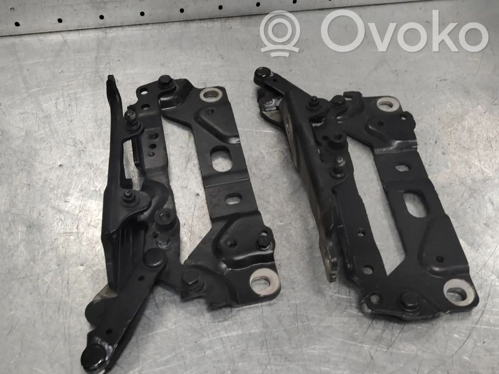 BMW 7 F01 F02 F03 F04 Cerniere del vano motore/cofano 