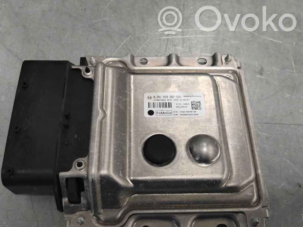 Ford Transit Courier Adblue control unit 