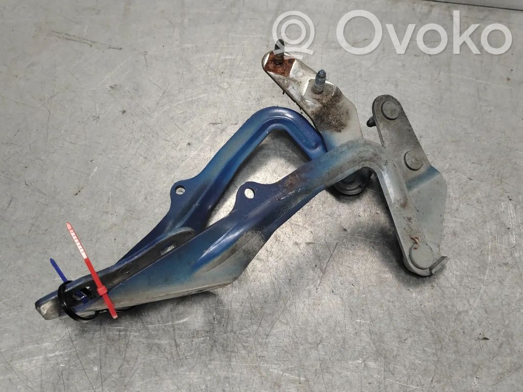 Ford Focus Dzinēja pārsega eņģe (-es) 