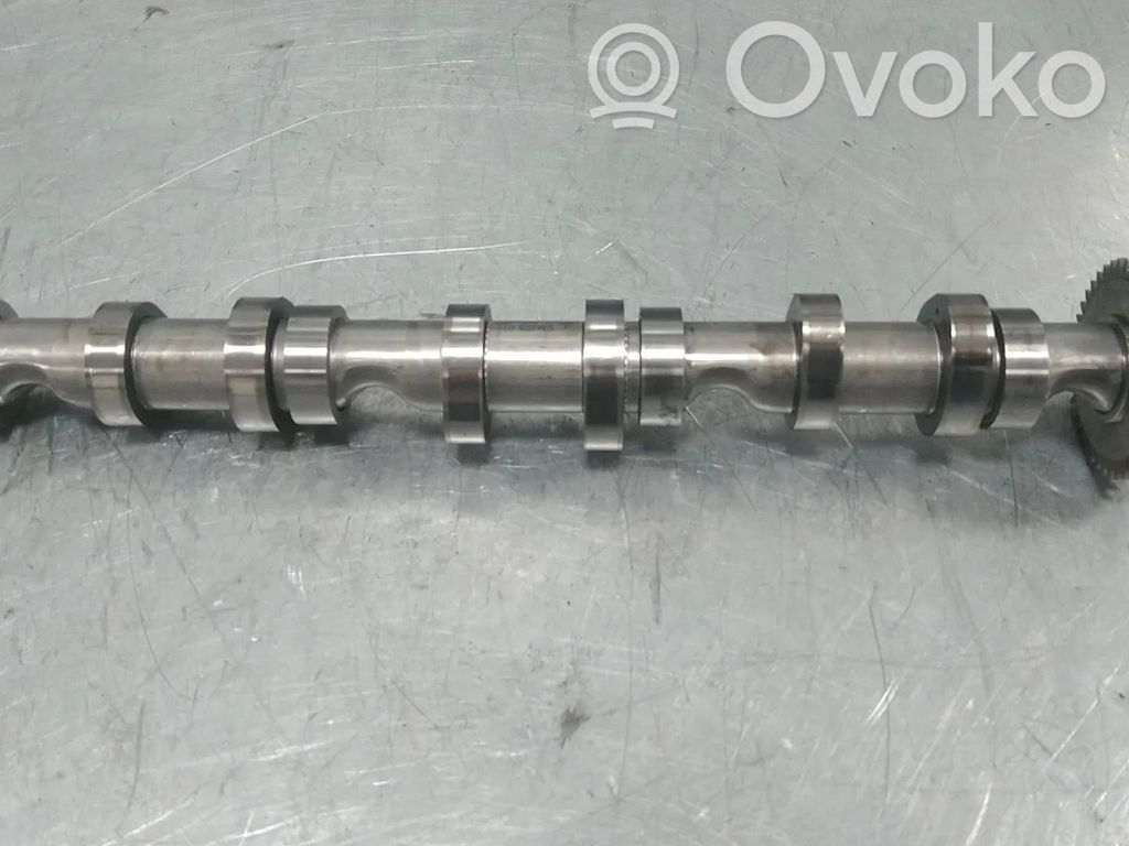 Camshaft   059102CB,059109009AJ,059109009BL,ASB,BKN,BKS,BMK,BNG,BPP,BSG,BUG,BUN,CAMA,CAMB,CAN,CANA,CANB,CANC,CAND,CAPA,CARA,CASB,CASC,CASD,CATA,CCL,CCLA,CCM,CCMA,CCW,CCWA,CCWB,CDY,CDYA,CDYB,CDYC,CEX,CEXA,CEXB,CGK,CGKA,CGKB