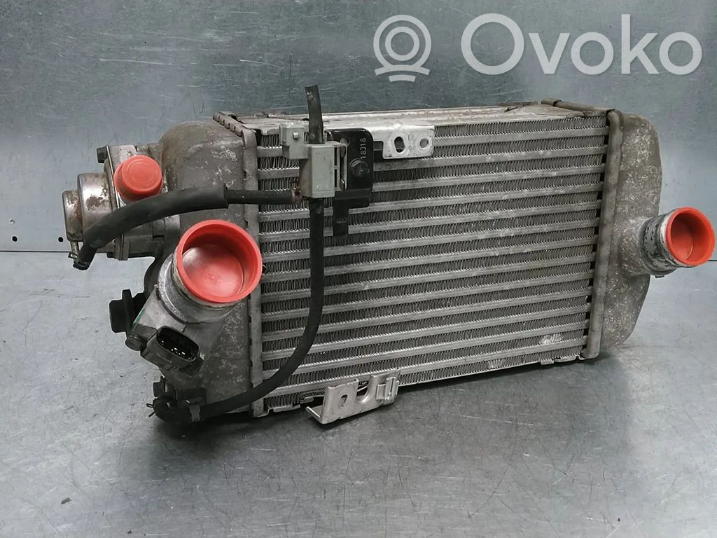 Chłodnica powietrza doładowującego / Intercooler   282702B791,282332B700,282712B790
