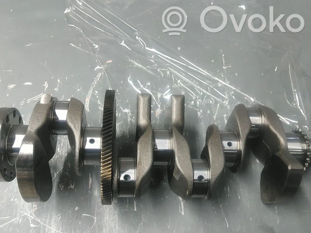 Kampiakseli   31430529,B4204T23,TG81SC