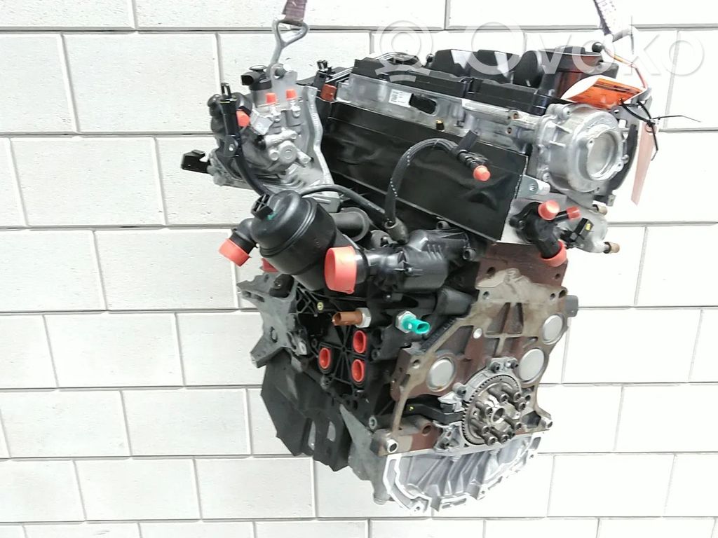 Motor   0445010538,04L100091B,04L100091BX,04L100091C,04L100091CX,DET,DETA,DETB,TD1